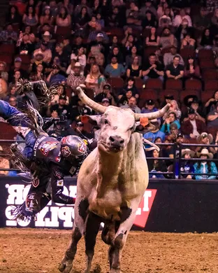 PBR - Unleash The Beast - 2 Day Pass